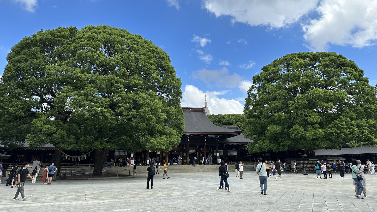 【Tokyo】Urban Forest Tour at the Meiji Jingu Shrine and Meiji Jingu Gyoen