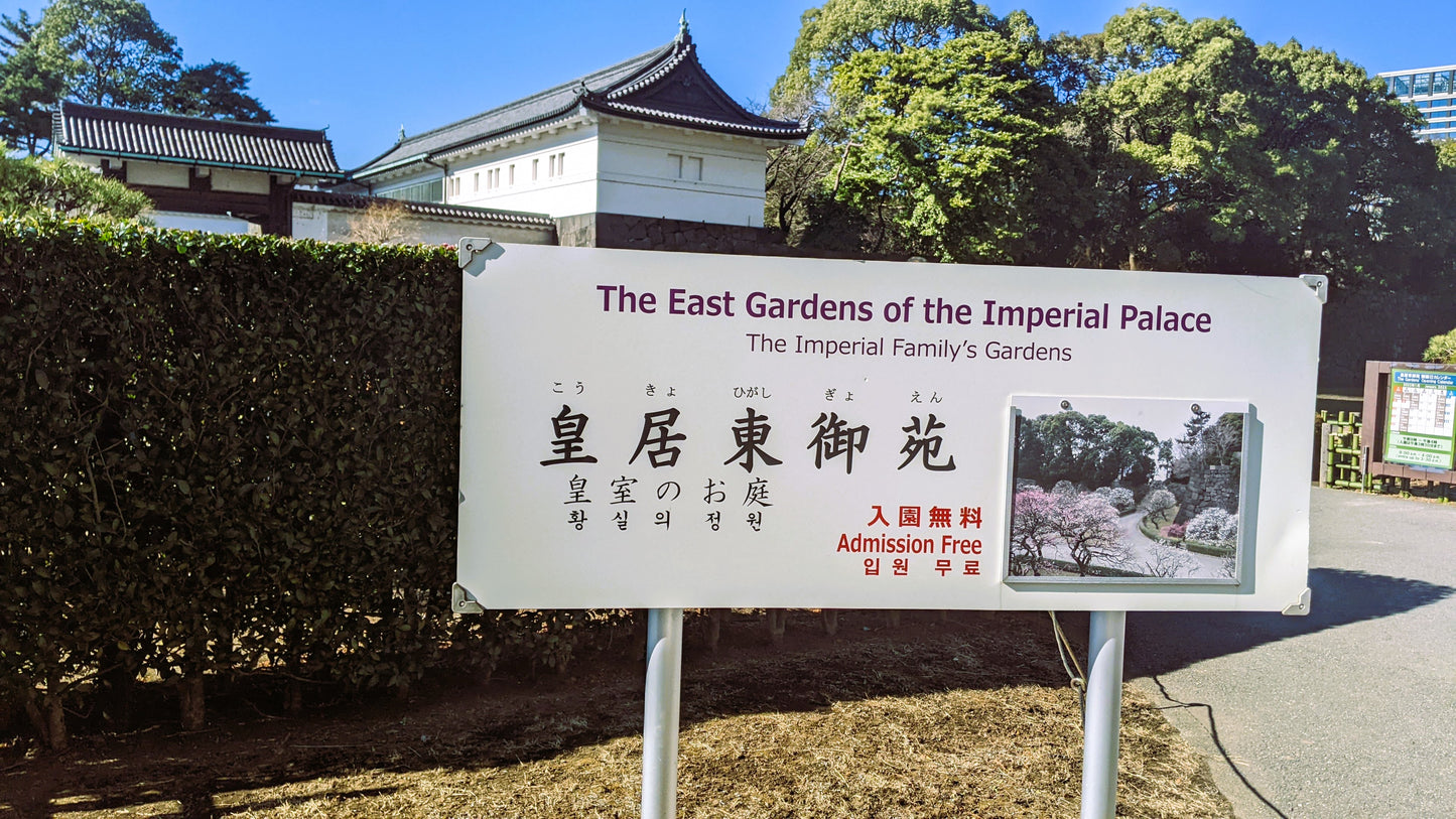 【Tokyo】Urban Forest Tour at the Imperial Palace