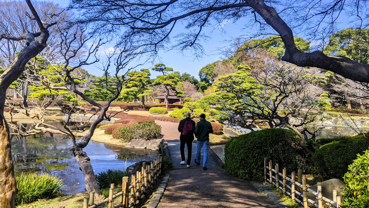 【NEW】Tokyo Imperial Palace Higashi Gyoen, Wellness Tour with lunch