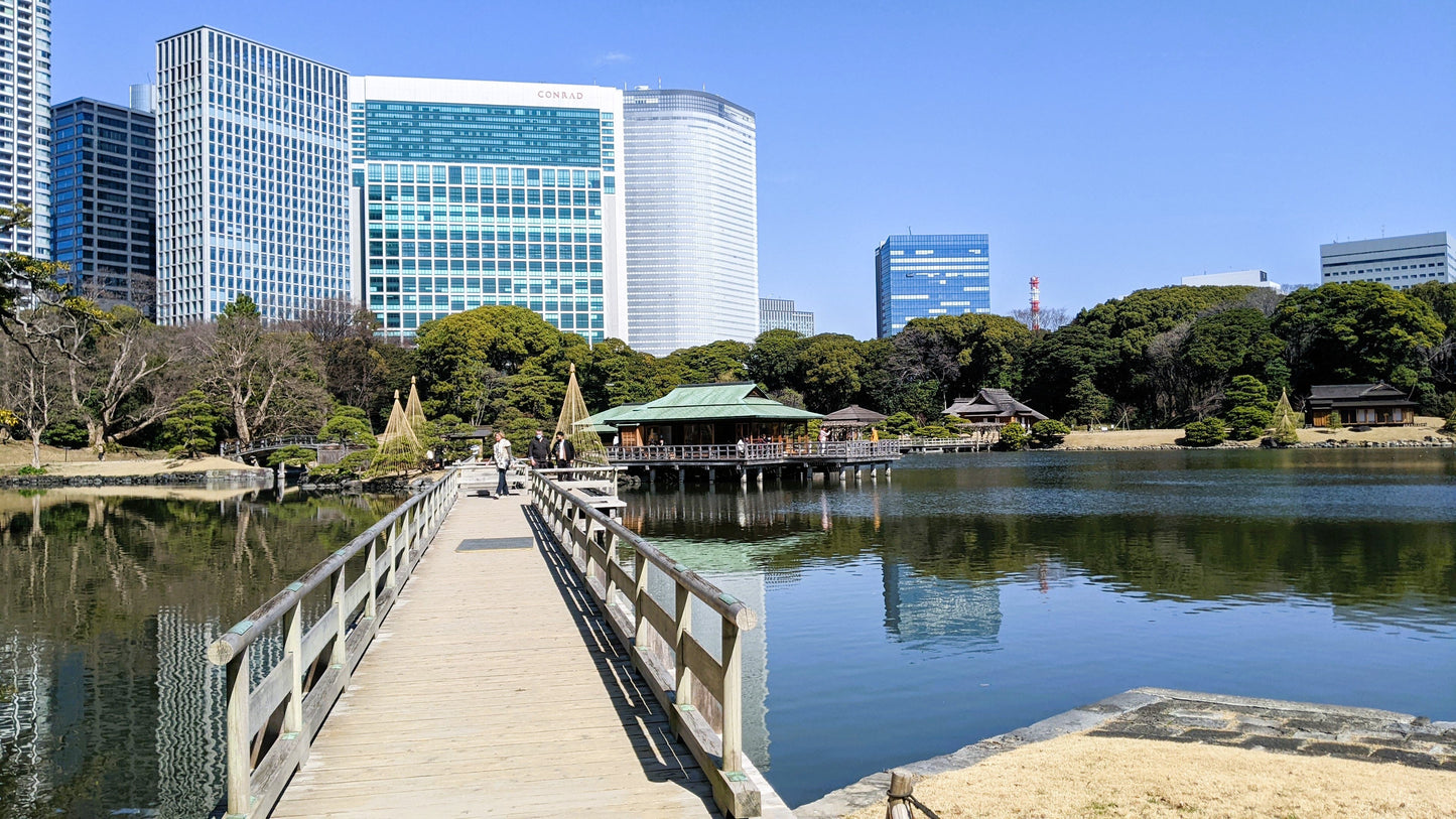 【NEW】Tokyo Tsukiji & Hamarikyu, Gardens Wellness Tour – Walk and Relax