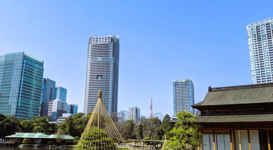 【NEW】Tokyo Tsukiji & Hamarikyu, Gardens Wellness Tour with Lunch– Walk and Relax