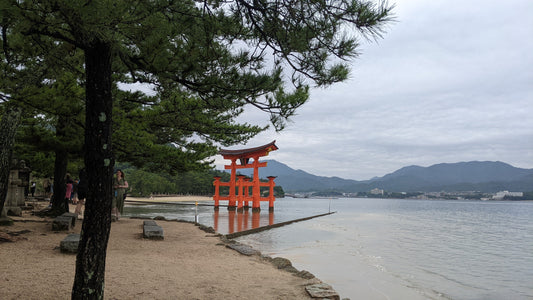 【Hiroshima】Urban Forest Tour at the Itsukushima Shrine and Miyajima Island