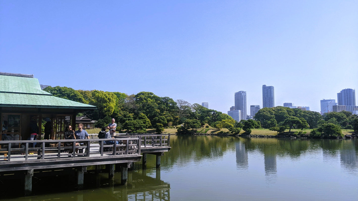 【Tokyo】Urban Forest Tour at Hama-rikyu Gardens