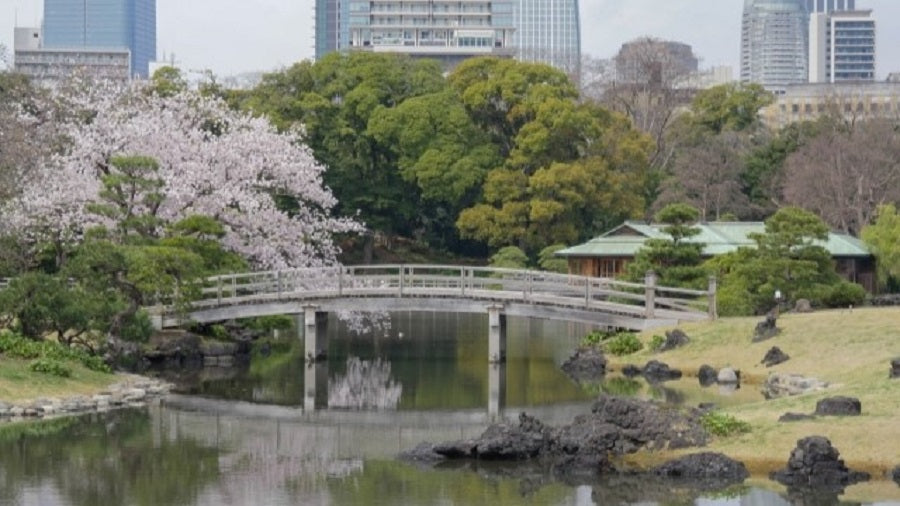 【NEW】Tokyo Tsukiji & Hamarikyu, Gardens Wellness Tour with Lunch– Walk and Relax