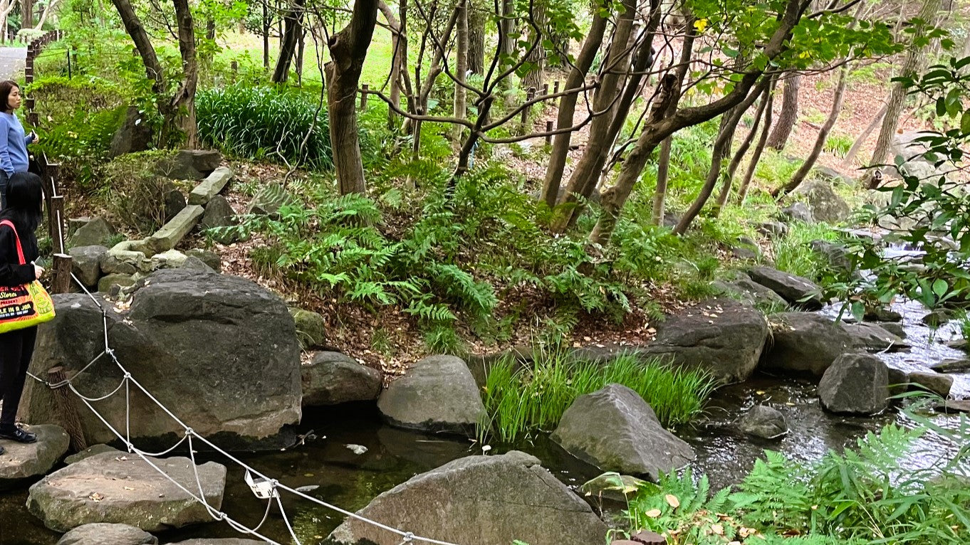 【東京】皇居東御苑・北の丸公園ウェルネス森林浴