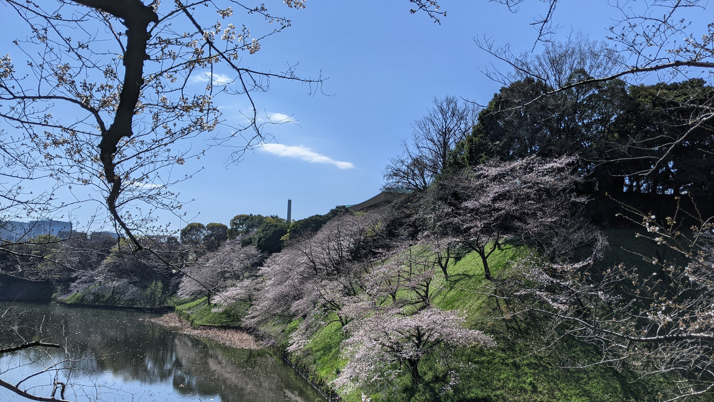 【NEW】Tokyo Imperial Palace Higashi Gyoen, Wellness Tour with lunch